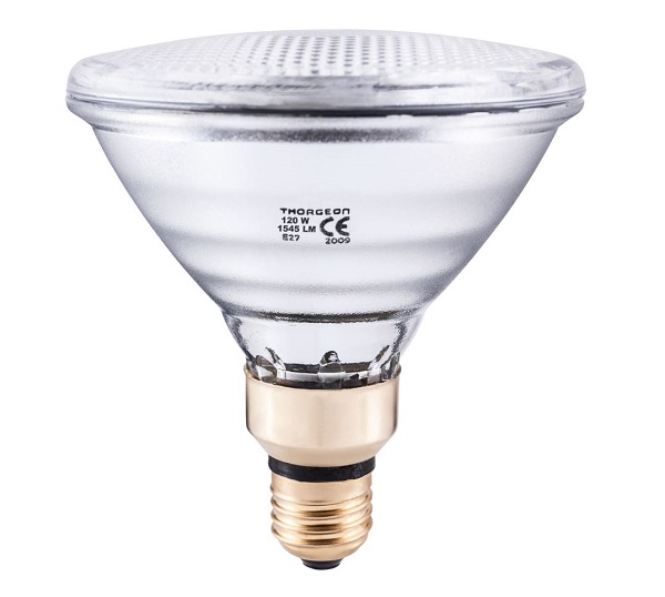 Thorgeon persglaslamp PAR38 120W E27 24V 10° spot
LET OP 24V !