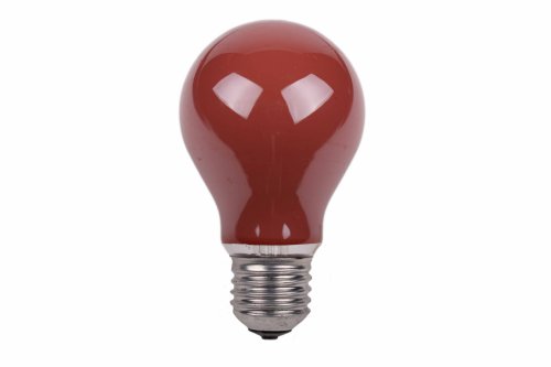 Normaallamp 25W E27 230V rood