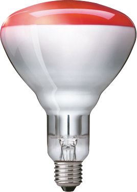 Philips 250 IR lamp 250W E27 230-250V BR125 rood