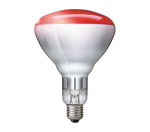 Philips IR lamp 150W E27 230V R125 rood
