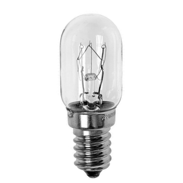 Buislamp 15W E14 230V helder 22x61mm