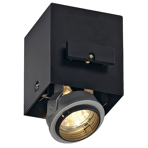 SLV Aixlight Pro 50 MR16 G5.3 50W Move Module zilvergrijs 115434 309871