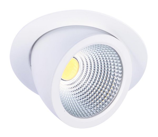 Lynx LED Maxi spot draai- en kantelbaar 28W 3000lm 3000K kleur 830 60° met LEDdriver wit
met Philips module