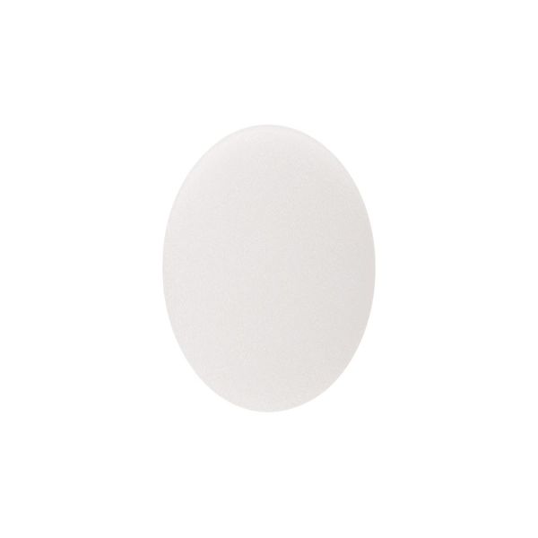 SLV 1010689 Numinos L diffusor frosted