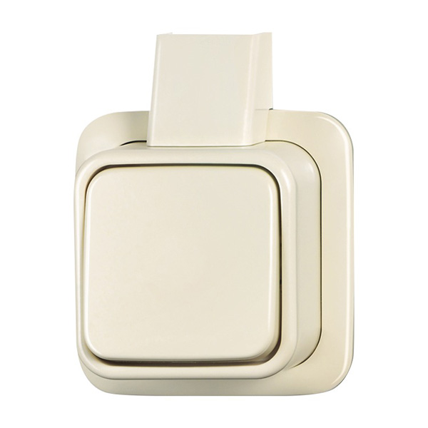 Busch&Jaeger wisselschakelaar opbouw met montageplaat creme